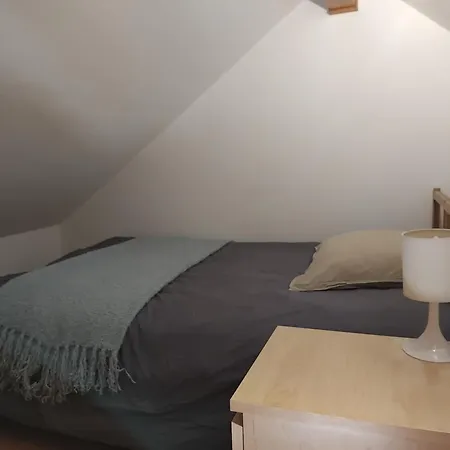Au Pied De L'alpe D'huez